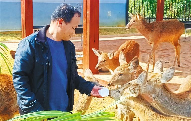 质量发展产业调研】林下生金不朽情缘游戏网站登录【高